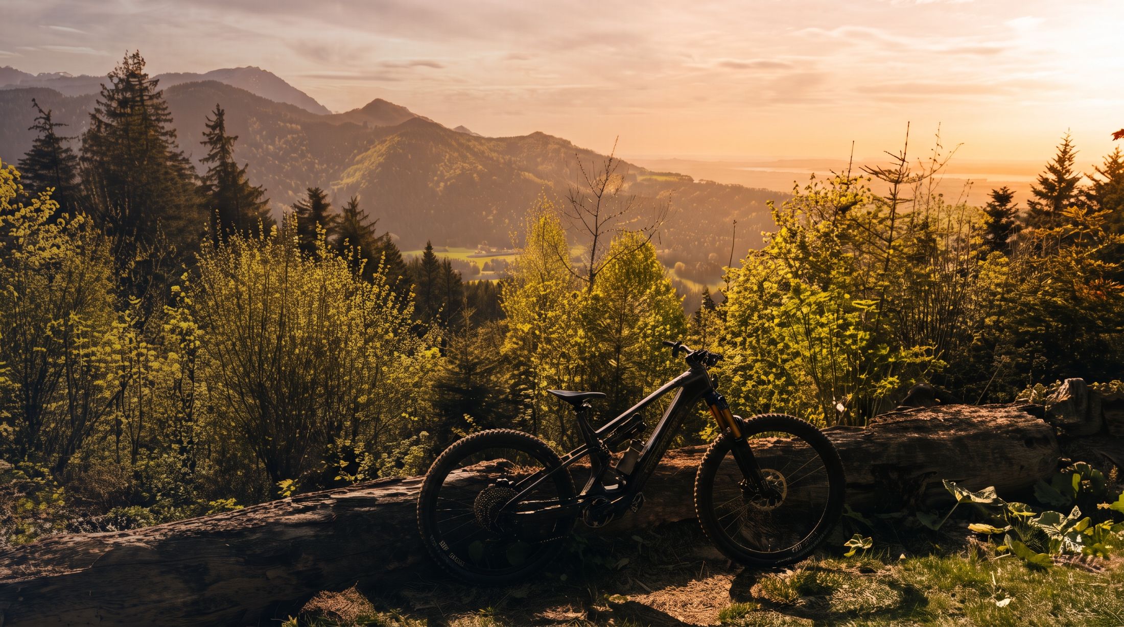 Mountainbike an einem Baumstamm mit Blick über das Tal im Abendlicht