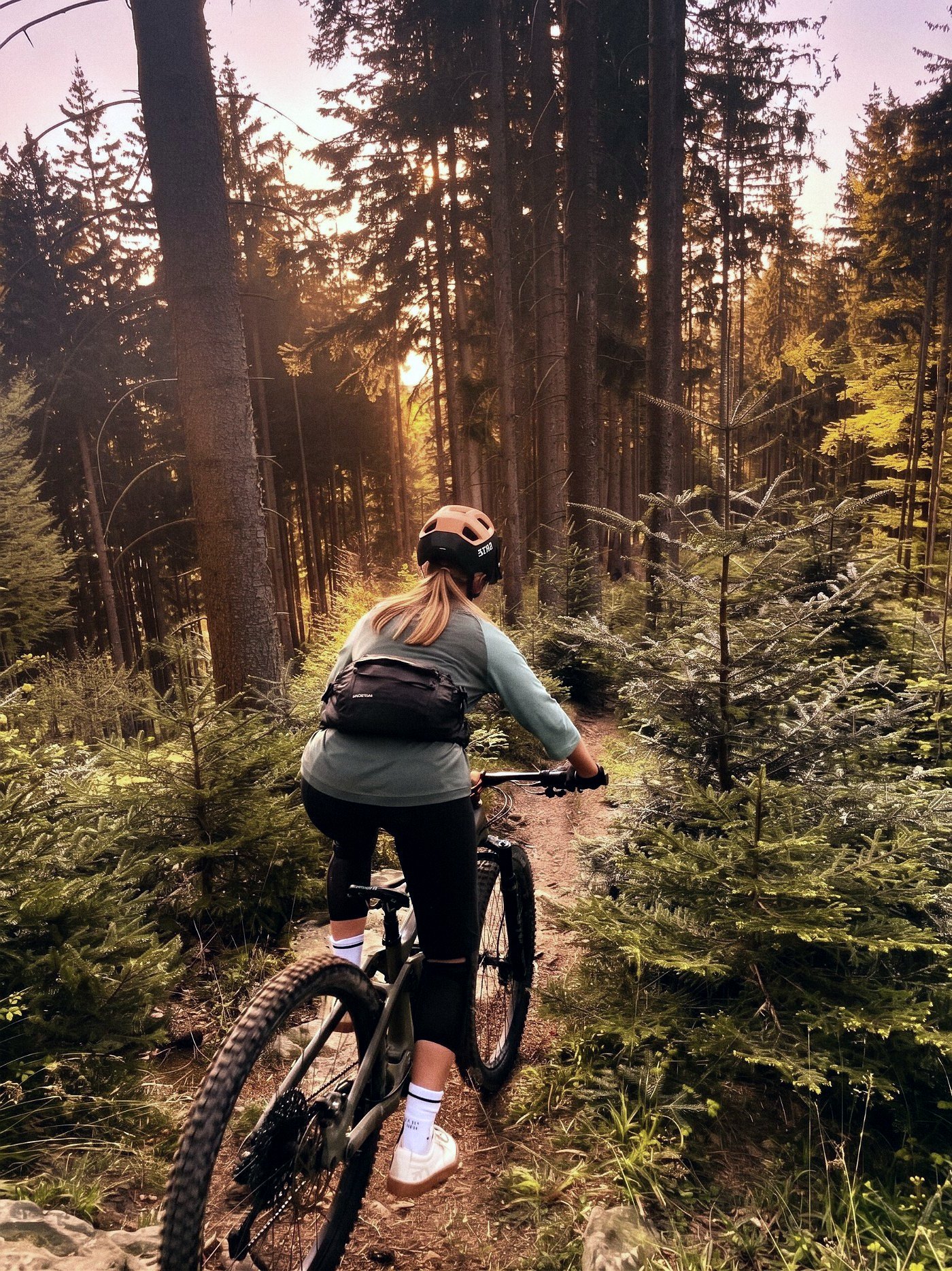 Mountainbike an einem Baumstamm mit Blick über das Tal im Abendlicht